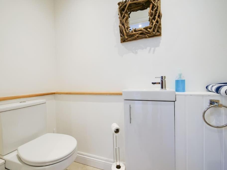 Jasmine Cottage - Modern Detached Cosy Cottage East Allington エクステリア 写真
