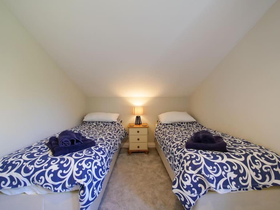 Jasmine Cottage - Modern Detached Cosy Cottage East Allington エクステリア 写真